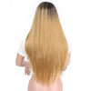 Doris beauty Long Straight Ombre Pink Wigs for Women with Middle Part Synthetic Cosplay Pink Brown Gray Green