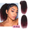 Qp hairMONIXI Synthetic Long Afro Curly Ponytail Hair Piece for African American Synthetic Drawstring Ponytail Clip in Hair Extensions